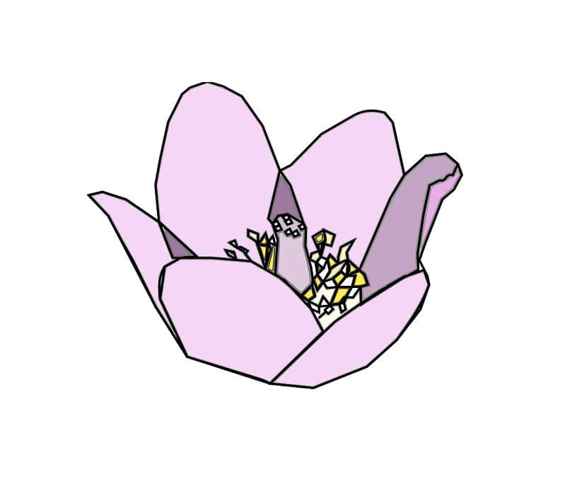 Wildflower Design logo