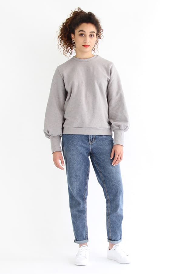 2 For 1 Pdf – Zebre And Lion thumbnail